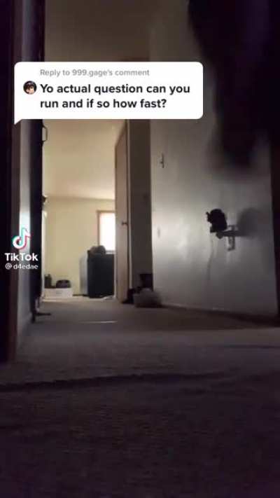 I wanna trip his lil ass