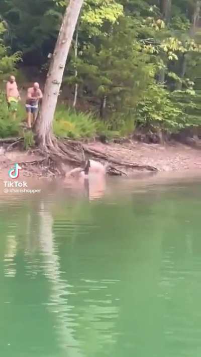 notttt sure if the cracking sound is his leg or the tree