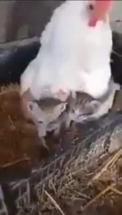 Not your typical mother.