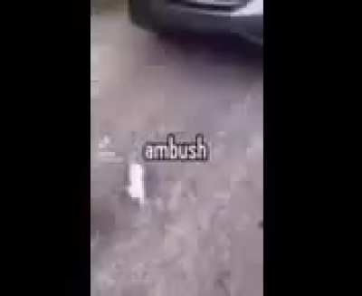 ambush