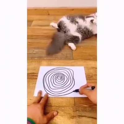Hypnotized
