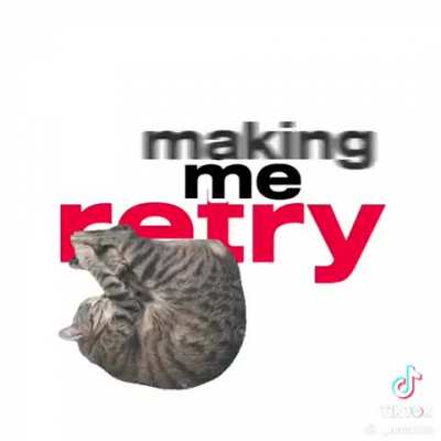 Funny cats