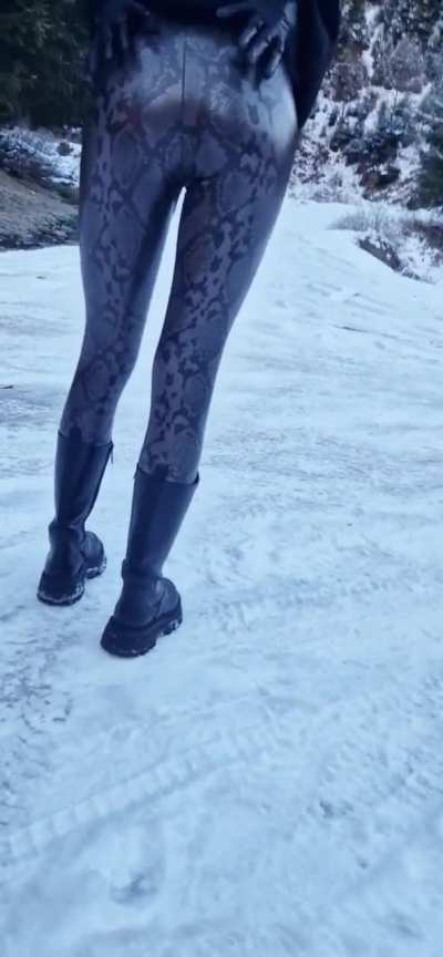 Shiny winter....
