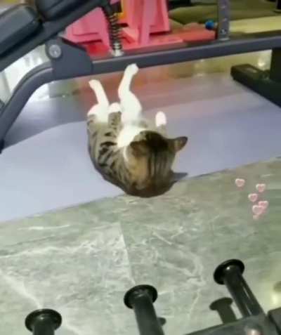 Get those gains