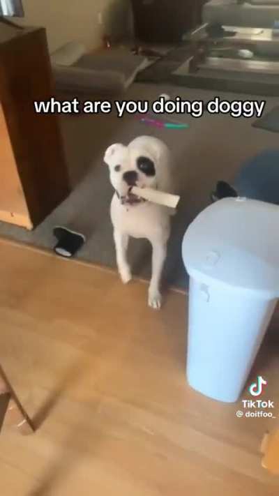Stranger Danger