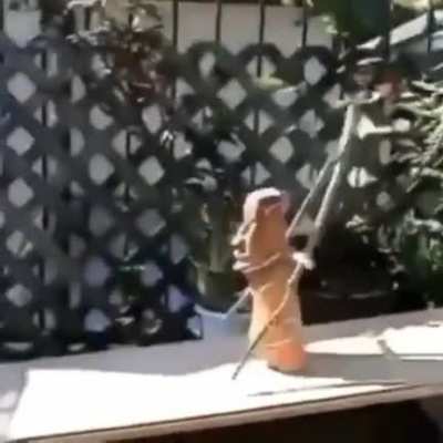 🗿