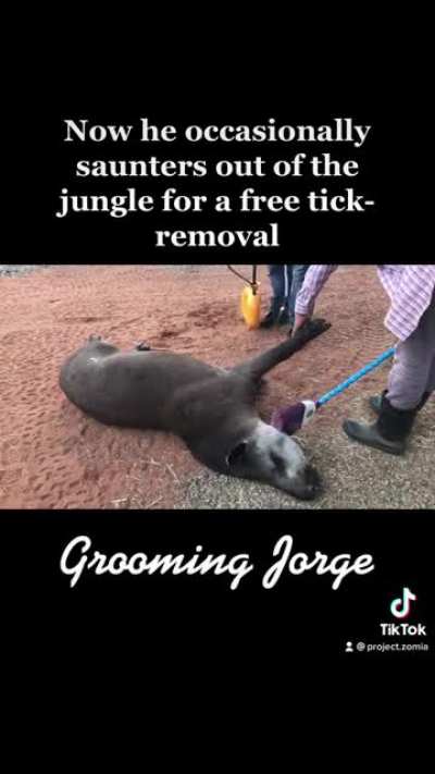 Go home Jorge.