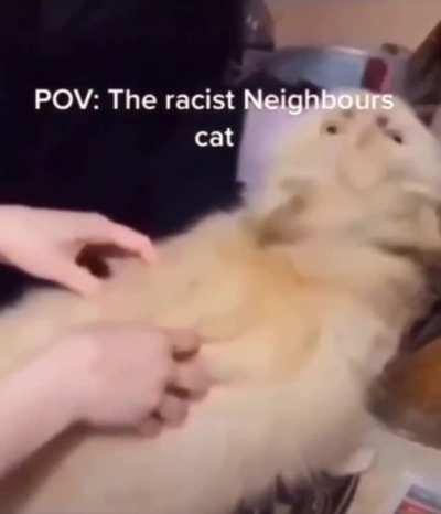What da cat sayin