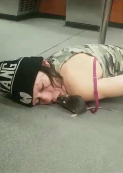 Rats just vibin&rsquo;