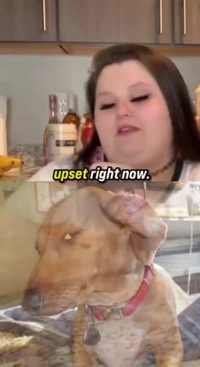 wrong sandwich eater 