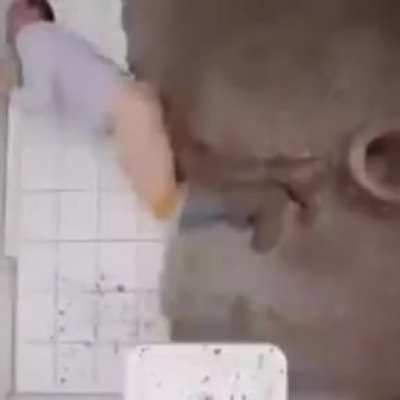 MRW I've finished eating all the Taco Bell