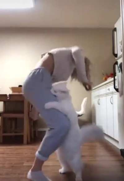 maybe don't kick kitty in the face