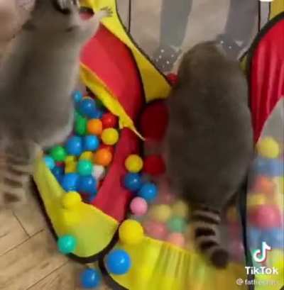 amazing