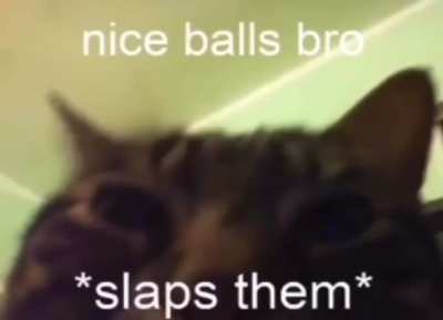 Bonk