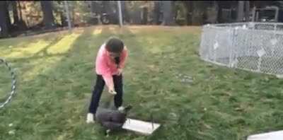 This girl built an obstacle course for her chicken.