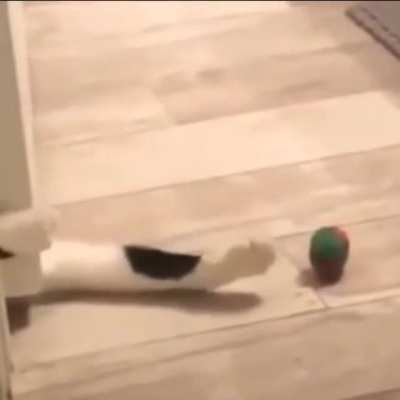 Me always making things harder than they have to be