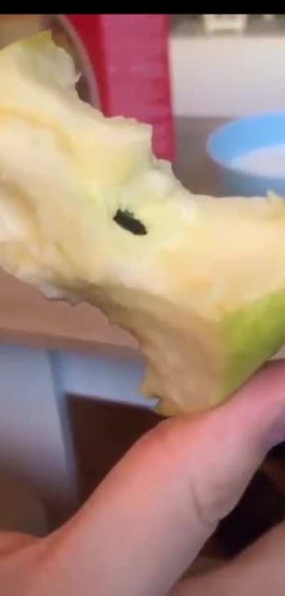 This man found a bug in his apple. Look closely.