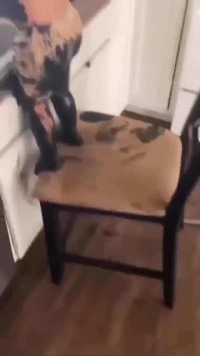 kid has been black