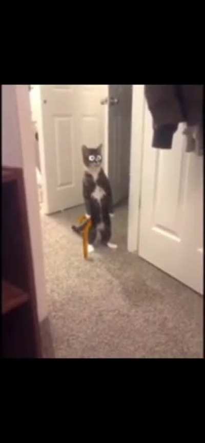 Curious