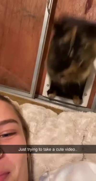 A surprise gift