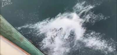 To backflip