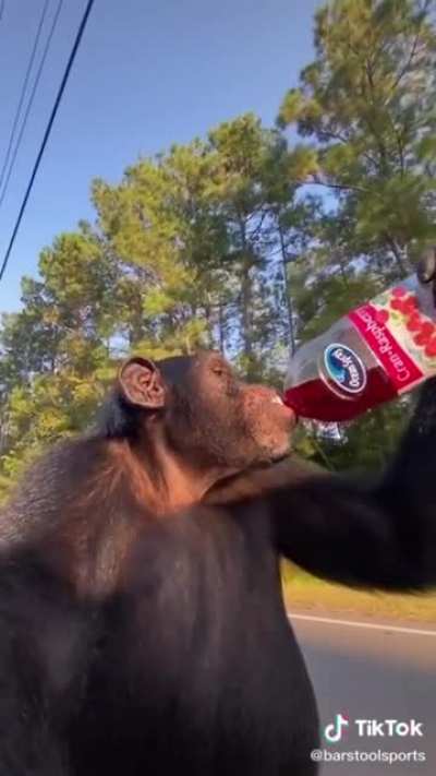 t&aacute; gostoso o suco muquinha?