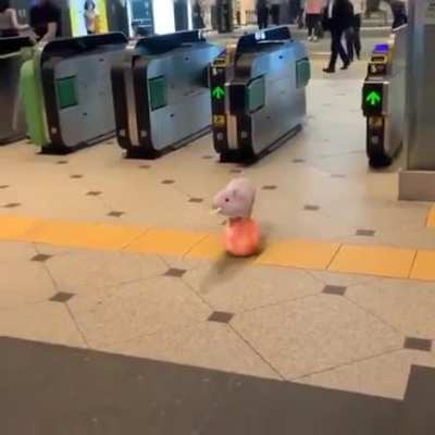 po
