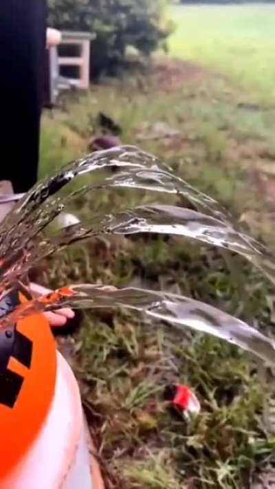 Laminar Flow