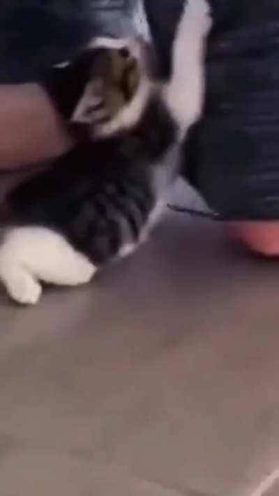 don't leave me...