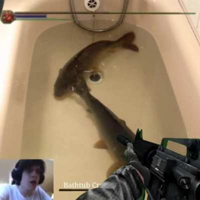 Quality Gameplay