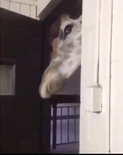 (Sound on) you better watch your back