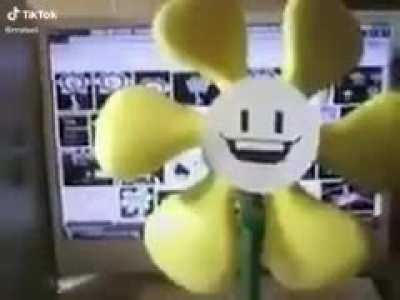 Flowey revenge