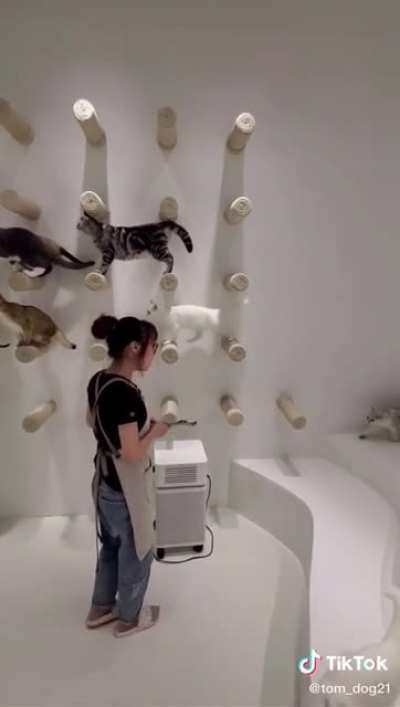 Me in 10 years
