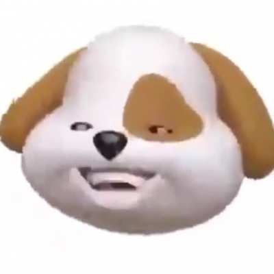 Angry dog.