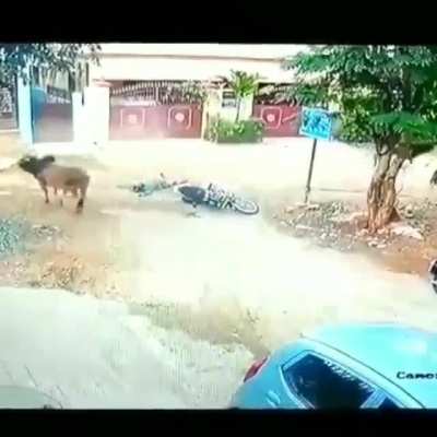 HMFT after riding my bike