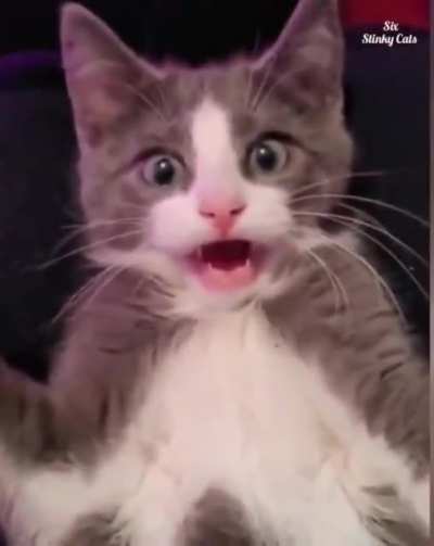 Why?