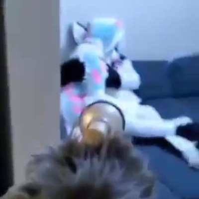 MAAU - Video #3674