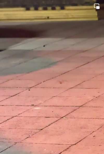 Spider getting down