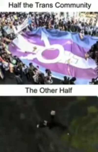 Half of the trans