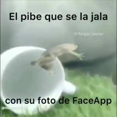 Momento dou