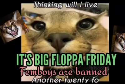 Happy Friday Everyone!