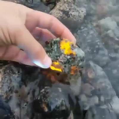 🔥 Sodalite is a type of rock that reacts with UV light. When exposed to it, the rock turns to a golden, lava-like color.
