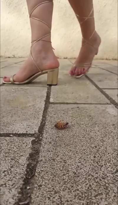 Girl crush bugs
