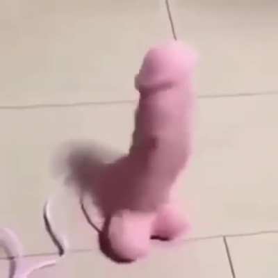 Que opening pika