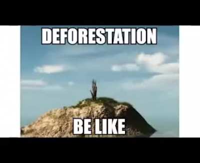 I &amp;lt;3 TREES