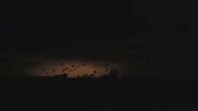 🔥 Bats revealed by lightning 🔥