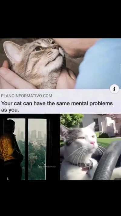 Real