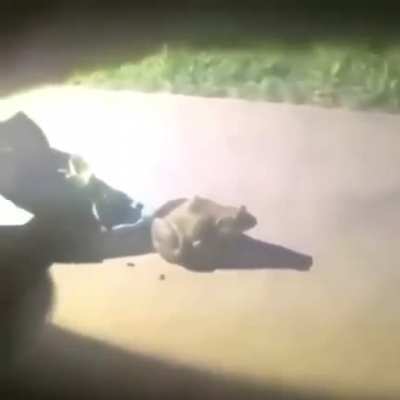 is he alive even?