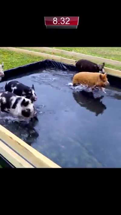 Maybe Maybe Maybe