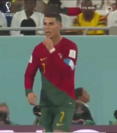 el bicho le da de comer al bicho
